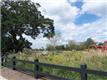 1343  Smythe St , Charleston, SC