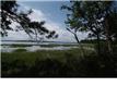 9 Polly Point Plantation, Wadmalaw Island, SC 29487