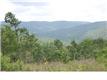16 Iron Gap Rd, Winchester, TN 37398