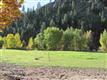 7800  Entiat River Road , Entiat, WA