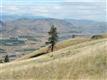 nna Mountain Springs Rd, Orondo, WA 98843