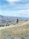 nna Mountain Springs Rd, Orondo, WA 98843