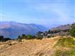 Chelan