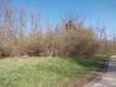 7254  Iuka Ave , Madeira, OH