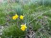 8058  Vegas Ct , West Chester, OH