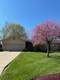 7114  Woodridge Dr , Anderson Twp, OH