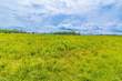 1835 Sandcliff Dr, Anderson Twp, OH 45255