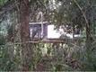 5811 N Suncoast Blvd , Crystal River, FL