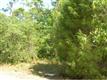 6715 W Abers Ct., Crystal River, FL 34429