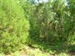 6715 W Abers Ct., Crystal River, FL 34429