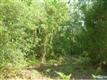 6715 W Abers Ct., Crystal River, FL 34429