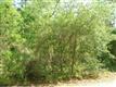 6715 W Abers Ct., Crystal River, FL 34429