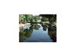 Land for sale in Homosassa, FL 34448