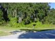 6306 SW 137 Ave , Archer, FL