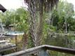 2695 N Seabreeze Pt , Crystal River, FL