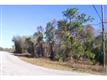 1174 N Belluzzi , Dunnellon, FL