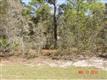 5697 N Bagwell Pt , Citrus Springs, FL
