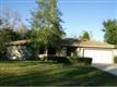 19  Begonias , Homosassa, FL