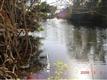 Land for sale in Homosassa, FL 34448