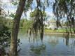 1150 N Midiron , Crystal River, FL