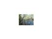 8874 W Orangetree , Crystal River, FL