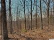 14229  Roe Buck Meadow Lane , Charlotte, NC