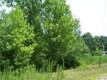 170 Zeb Road, Union Grove, NC 28689