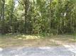 9200  Pinenoll Lane , Charlotte, NC