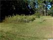 2935 S Lake Shore Road , Denver, NC
