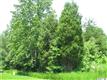 8596  Amandine Way , Terrell, NC
