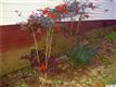 123 Williams Road, Davidson, NC 28036