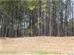 106 Chaska Loop, Troutman, NC 28166