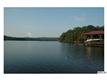 4113  Arbor Spring Court 