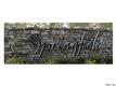710  Mendenhall Court , Fort Mill, NC