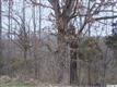 16 Powell Bridge Road, Harmony, NC 28634