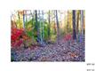 24  Bethshire Lane , Denver, NC