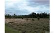 0 Hwy 268 Highway, Mt Croghan, SC 29786
