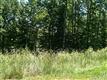 2028  Gladelynn Court , belmont, NC