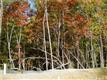 725  Fawns Glen Place , Lake Wylie, SC