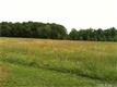 7904  Skye Knoll Drive , Waxhaw, NC