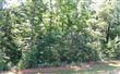 57  Stoneview Court , Denver, NC