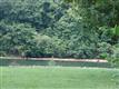 1327  Riverside Drive , Charlotte, NC