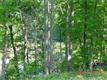 197  Riverbend Drive , Mooresville, NC