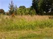 1011  Marguerite Drive , Lowell, NC