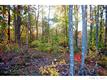 5  Ridgemont Drive , Denver, NC