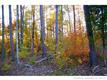 8  Ridgemont Drive , Denver, NC