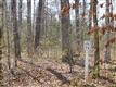 71  Cline Farm Road , Lincolnton, NC