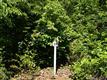 10  Cline Farm Road , Lincolnton, NC