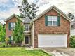 213  Chestnut Avenue , Tega Cay, SC