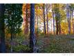 6  Ridgemont Drive , Denver, NC